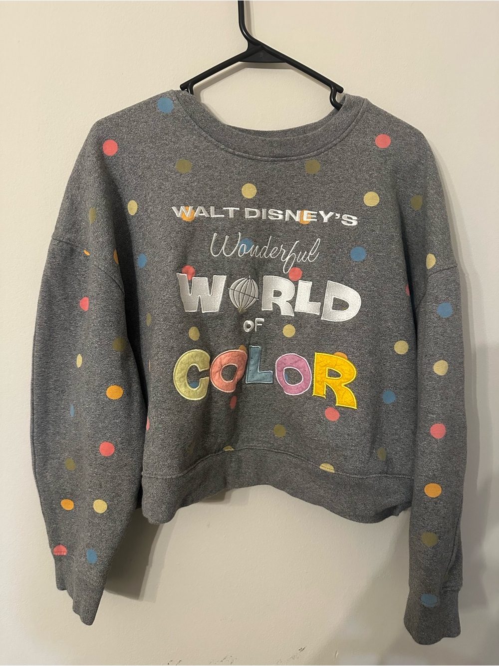 Disney parks 100 anniversary wonderful world of color polka dot sweatshirt